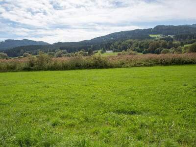 Grundstück kaufen in 9462 Bad St. Leonhard