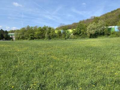 Grundstück kaufen in 2371 Weissenbach (Bild 2)