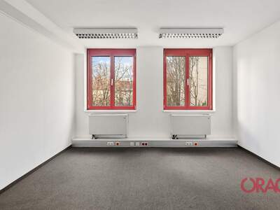 Gewerbeobjekt mieten in 1060 Wien (Bild 4)