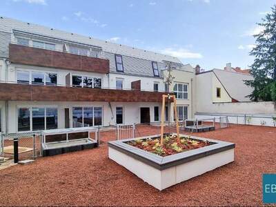 Wohnung mieten in 2700 Wiener Neustadt