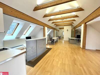 Gewerbeobjekt mieten in 8042 Graz (Bild 3)