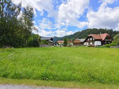 Grundstück kaufen in 8622 Etmißl (Bild 4)