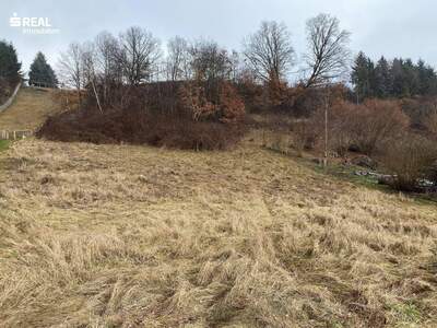 Grundstück kaufen in 8224 Hofkirchen