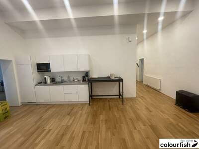 Gewerbeobjekt mieten in 1010 Wien (Bild 5)