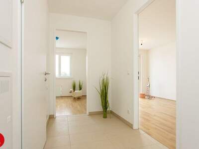 Terrassenwohnung mieten in 2320 Schwechat (Bild 4)