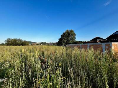 Grundstück kaufen in 4225 Luftenberg (Bild 5)