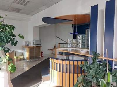 Gewerbeobjekt mieten in 4600 Wels (Bild 2)