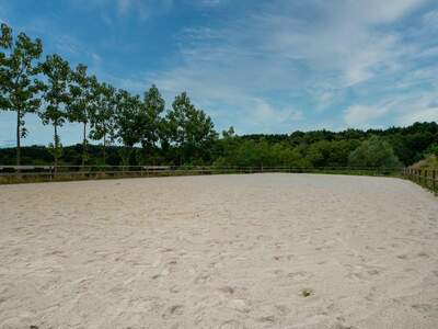 Gewerbeobjekt kaufen in 8332 Edelsbach (Bild 2)