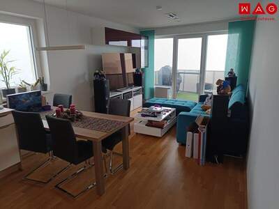 Terrassenwohnung mieten in 4400 Steyr (Bild 3)