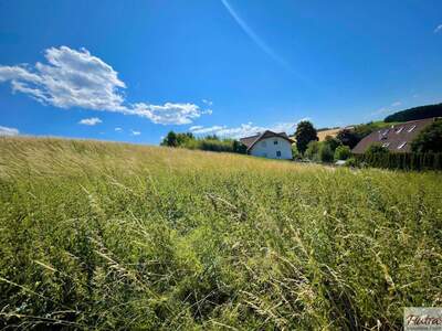 Grundstück kaufen in 4616 Weyerbach (Bild 1)