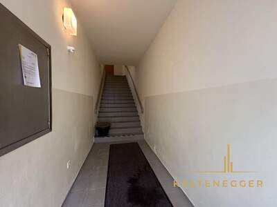 Anlageobjekt kaufen in 2700 Wiener Neustadt (Bild 3)