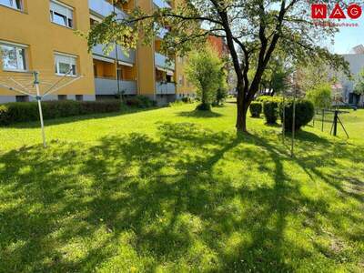 Terrassenwohnung mieten in 8570 Voitsberg (Bild 1)