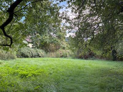 Grundstück kaufen in 2371 Hinterbrühl (Bild 3)
