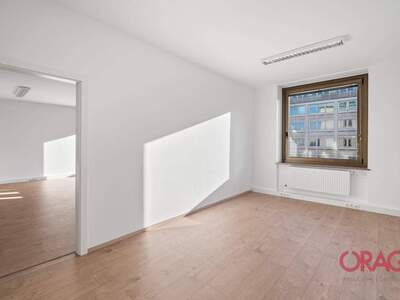 Gewerbeobjekt mieten in 1010 Wien