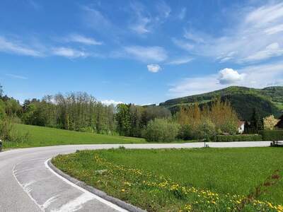 Grundstück kaufen in 3153 Eschenau (Bild 4)