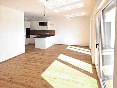 Terrassenwohnung mieten in 2460 Bruck an der Leitha (Bild 4)