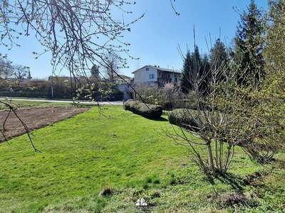 Haus kaufen in 4655 Vorchdorf (Bild 4)