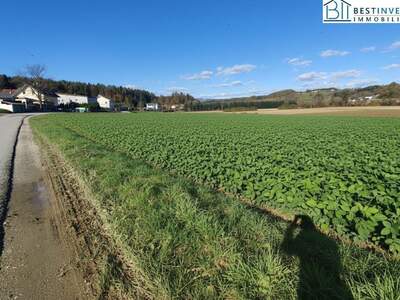 Grundstück kaufen in 8261 Sinabelkirchen (Bild 5)