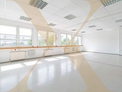 Gewerbeobjekt mieten in 4600 Wels (Bild 1)