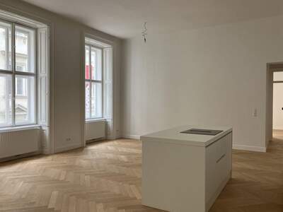 Altbauwohnung mit Balkon mieten in 1010 Wien (Bild 1)