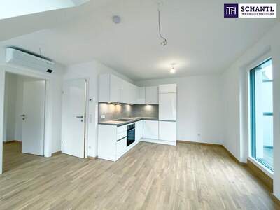 Terrassenwohnung mieten in 1220 Wien (Bild 1)
