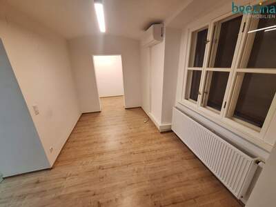 Altbauwohnung mieten in 1010 Wien (Bild 3)