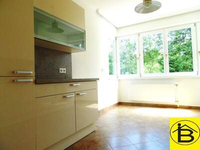 Haus mieten in 3500 Krems (Bild 5)