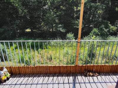 Wohnung provisionsfrei mieten in 8051 Graz