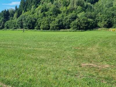 Grundstück kaufen in 9560 Rottendorf (Bild 1)