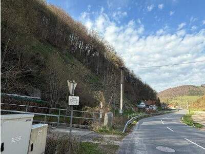 Wohnung kaufen in 4460 Losenstein (Bild 5)