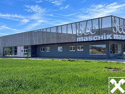 Gewerbeobjekt mieten in 4600 Wels (Bild 3)