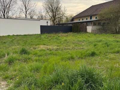 Grundstück kaufen in 4063 Breitbrunn (Bild 3)