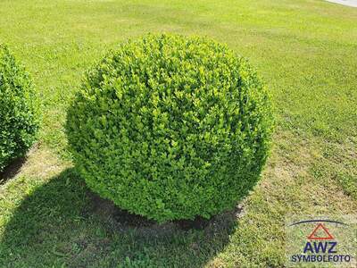 Wohnung kaufen in 4614 Marchtrenk