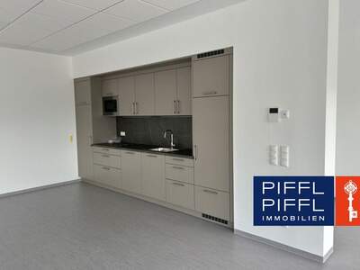 Gewerbeobjekt mieten in 4061 Pasching (Bild 1)