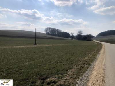 Gewerbeobjekt kaufen in 4941 Mehrnbach (Bild 1)