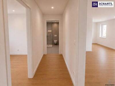 Terrassenwohnung kaufen in 1020 Wien (Bild 4)