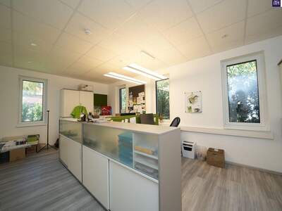 Gewerbeobjekt mieten in 8200 Gleisdorf (Bild 4)