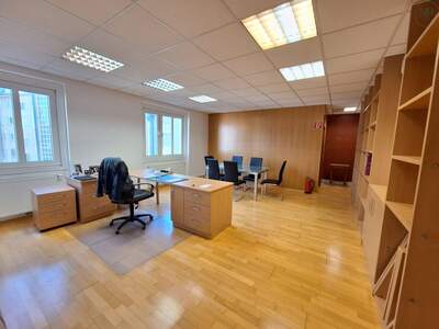 Gewerbeobjekt mieten in 1100 Wien (Bild 4)