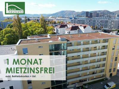 Terrassenwohnung mieten in 8020 Graz (Bild 1)