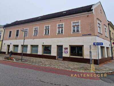 Haus kaufen in 2620 Neunkirchen