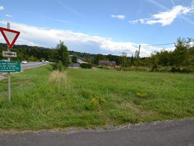 Gewerbeobjekt kaufen in 8511 Teipl (Bild 4)