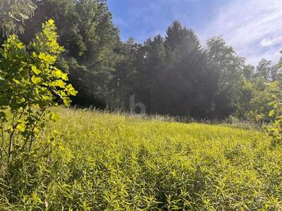 Grundstück kaufen in 4782 Schärding