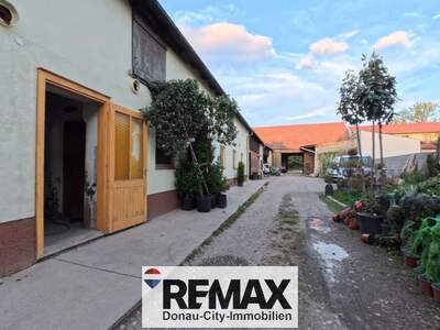Grundstück kaufen in 2482 Münchendorf (Bild 4)
