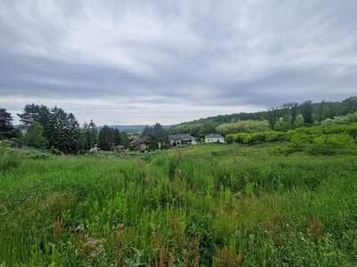 Grundstück kaufen in 2100 Leobendorf