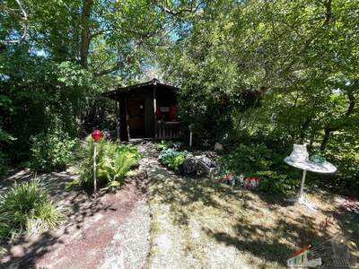 Einfamilienhaus kaufen in 2512 Tribuswinkel (Bild 5)