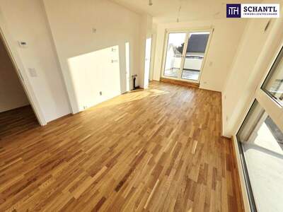 Terrassenwohnung kaufen in 1220 Wien (Bild 2)