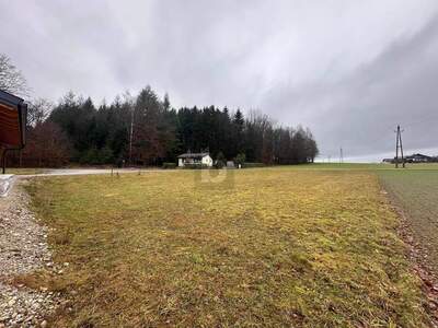 Grundstück kaufen in 5120 St. Pantaleon