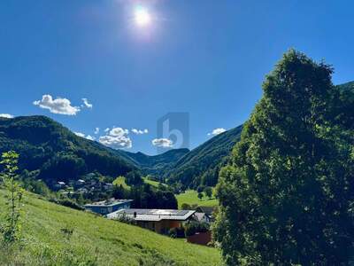 Grundstück kaufen in 3340 Waidhofen