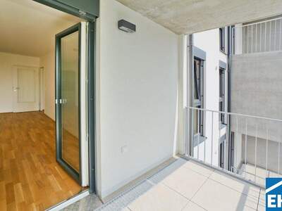 Terrassenwohnung mieten in 1220 Wien (Bild 1)