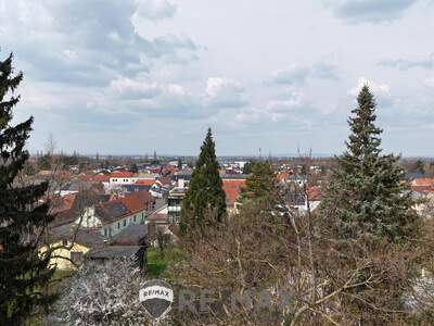 Grundstück kaufen in 3433 Königstetten (Bild 1)